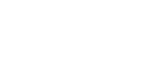 paladin_logo_white